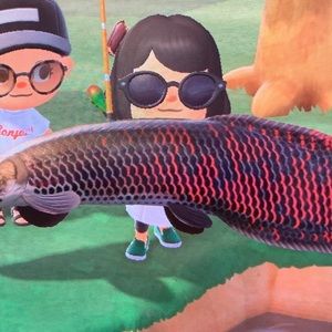 Meet your Posher, Jade